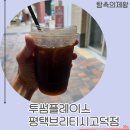 한잔하까카페 | 평택 고덕 투썸플레이스 평택브리티시고덕점, 아이스 아메리카노 한 잔으로 완벽했던 카페 탐방 후기는?