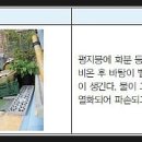 경기한펫 네이버블로그