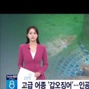 비안도수산 이미지