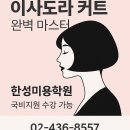이사도라 티스토리
