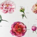 아이엔지팩토리 이미지