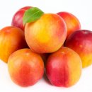 플럼마트 이미지