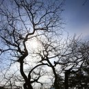 성산패총로-1 이미지