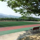 경북대학교 캠퍼스 이미지