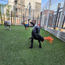 베베네 개스트하우스 이미지