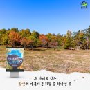 노바블룸디자인 이미지