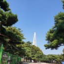 다솜케어복지용구