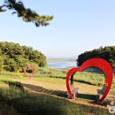 익산애견테마파크 이미지