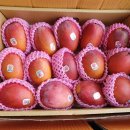 호남청과 이미지