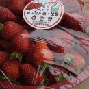 금반농장 이미지