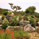 가야농장 이미지