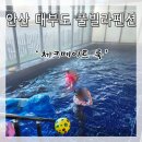 체크메이트 룩 네이버블로그