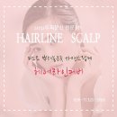 바다헤어라인 이미지