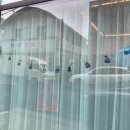 비마인 독 이미지