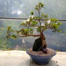 산호수농장 이미지