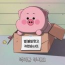 아시아푸드 이미지