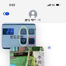위드독애견스파풀빌라 | 태안 애견동반펜션 위드독애견스파풀빌라 방문 후기