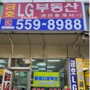 레드공인중개사사무소 이미지