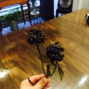 태후사랑 도담점 | 방배동꽃집 라플란드플라워 ; 플라워레슨 후기