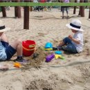 오성행정사무소 이미지