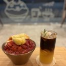 제주 할리데이 이미지