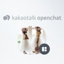수원-0677 네이버블로그