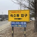 캐빈빌리지 펜션 이미지