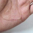 써본 피노 프리미엄 터치 라인 린스/헤어 마스크/오일 내돈내산 후기, 향 때문에 계속 손이 가는 헤어케어