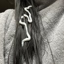 더블에이치컴퍼니 이미지