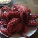 산마루로뎀 이미지