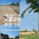 [공지] 서울 아기랑 강아지랑 유모차 산책로 공원 3곳 추천 찐후기 (여의도한강공원, 양화진역사공원...