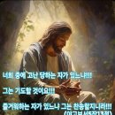 오늘의 성경 한구절 이미지