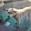 경안자동차정비공장 이미지