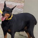 상원빌라 이미지