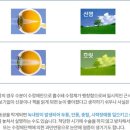 맑은빛성모안과 이미지