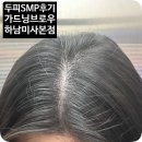 227-2-000001 | 하남미사 정수리탈모 두피커버 가드닝브로우 내돈내산 솔직후기.