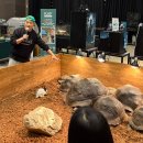 지에스25 고양킨텍스점 | 현대백화점 킨텍스점 '아웃사이더의 몬스터 키즈쇼' 관람 후기