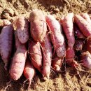 팔봉농장 이미지