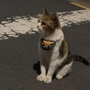 스타피씨카페 | 수능 끝난 첫 주에 나는요...