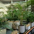 모텔휠링 이미지