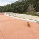 초강 고향의 강 빙벽장 화장실 | 충북 영동 빙벽장 초강 고향의강