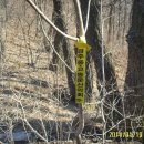 나원1리 이미지