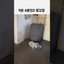 9와4분의3