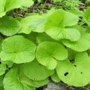 삼둔민박 이미지