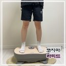 홈트 기구 코지마 쉐이크보드 라피드 하루 딱 10분