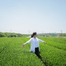 구름의 길 픽쳐스 네이버블로그
