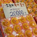 제주농수산 이미지