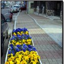 장목면사무소 이미지