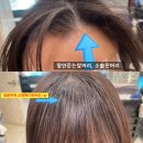 커트와파마(오전) 이미지