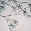 반송동114 이미지